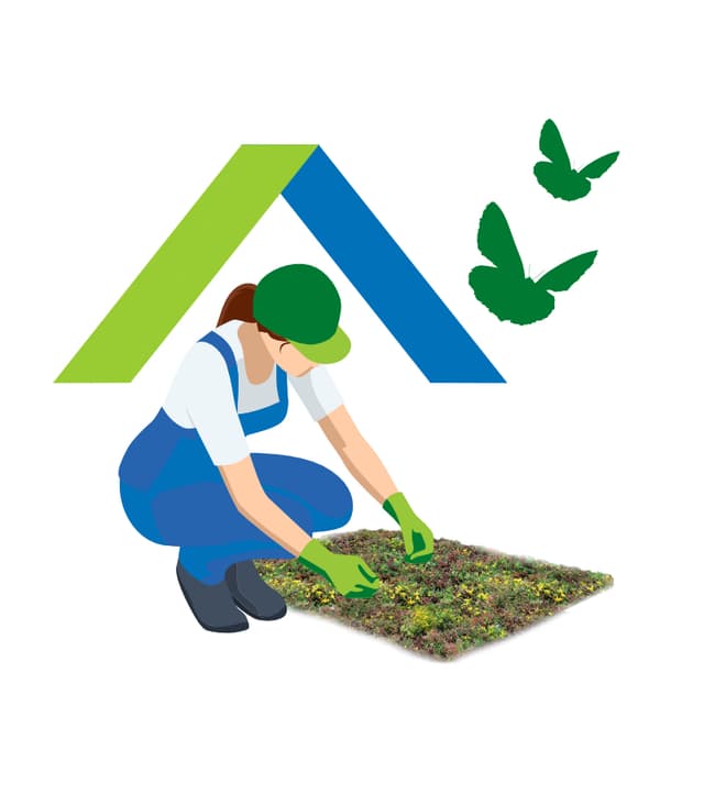 Sedumdakgemak logo